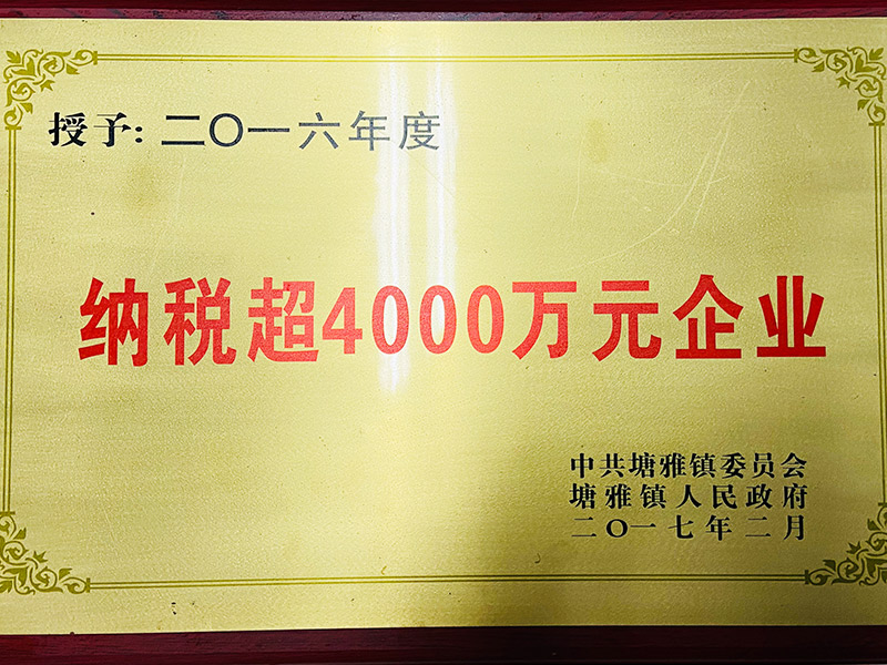 2016年度纳税超4000万-塘雅镇